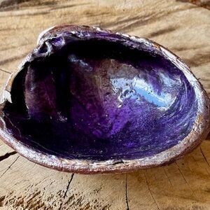 Purple Decorative Shell Bowl